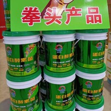 2016-2021年中國海藻酸鈉市場前景及投資發展戰略研究報告