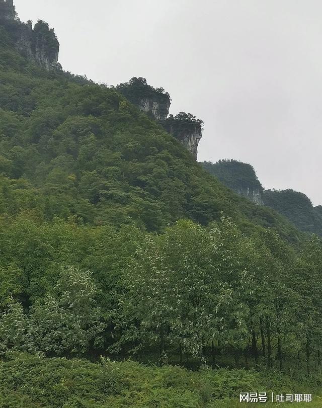 海拔1400米新避暑山庄火了！明年换租它这3点得先弄明白？